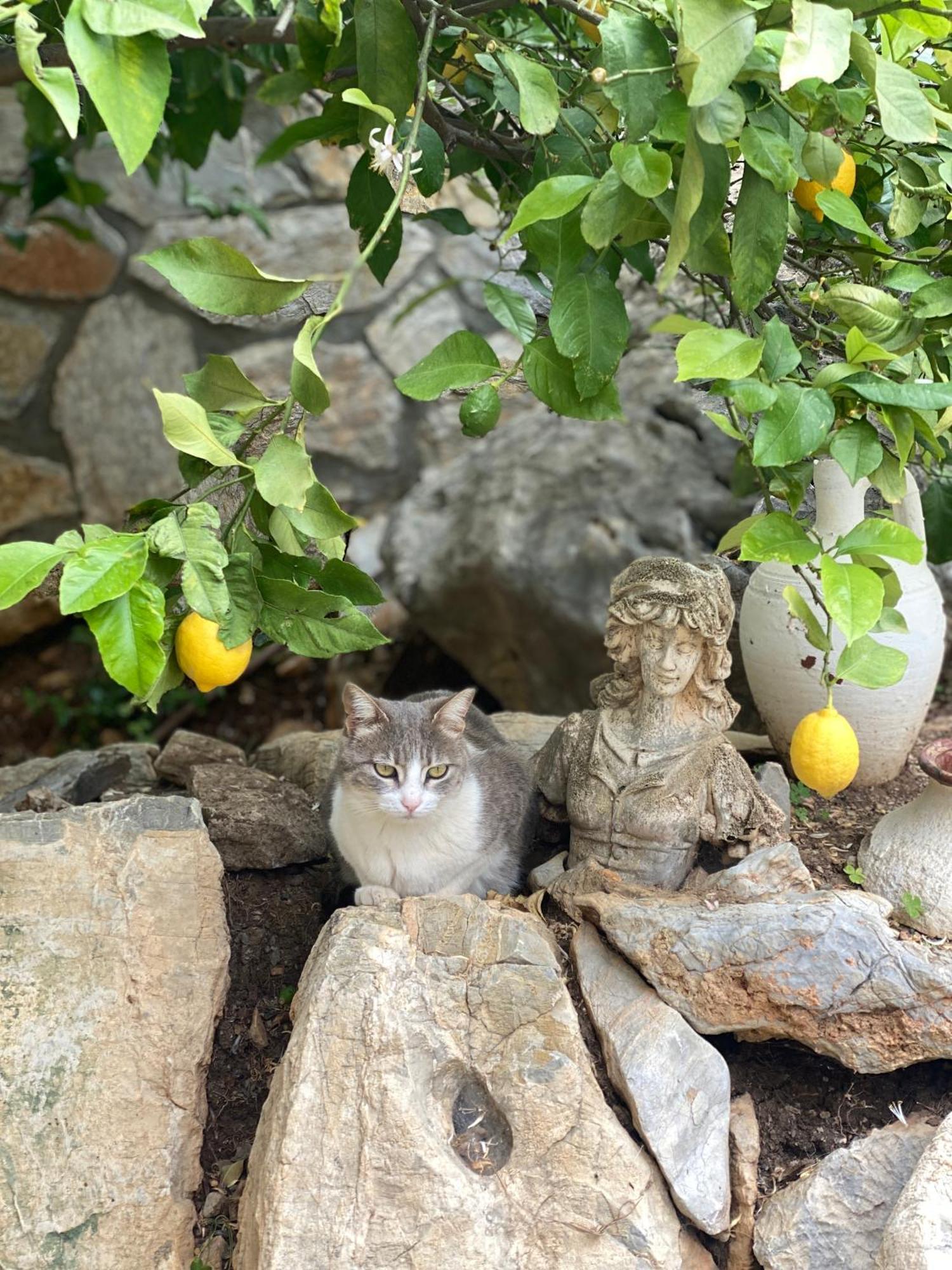Hotel Villa Tokur Datça Esterno foto