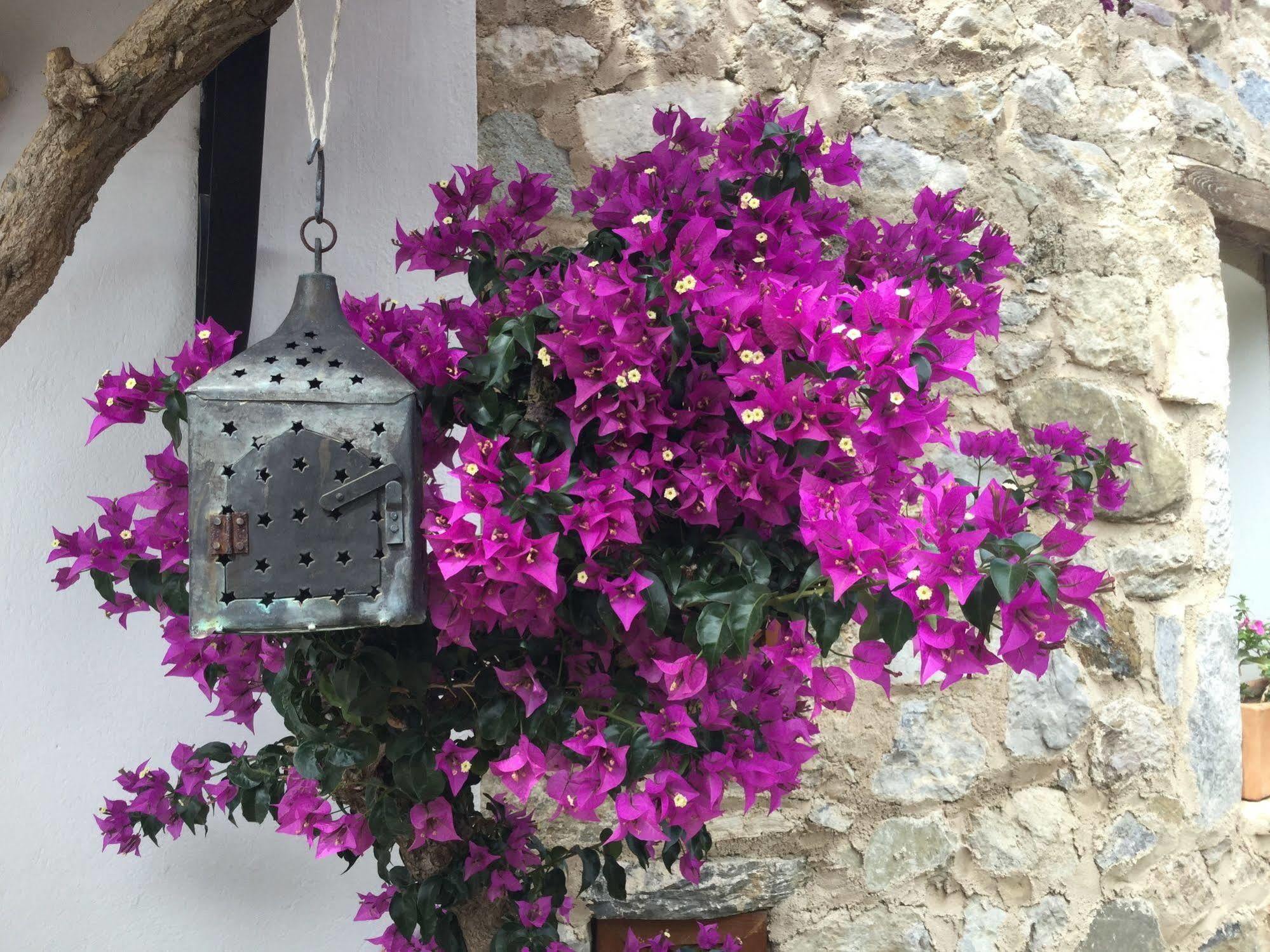 Hotel Villa Tokur Datça Esterno foto