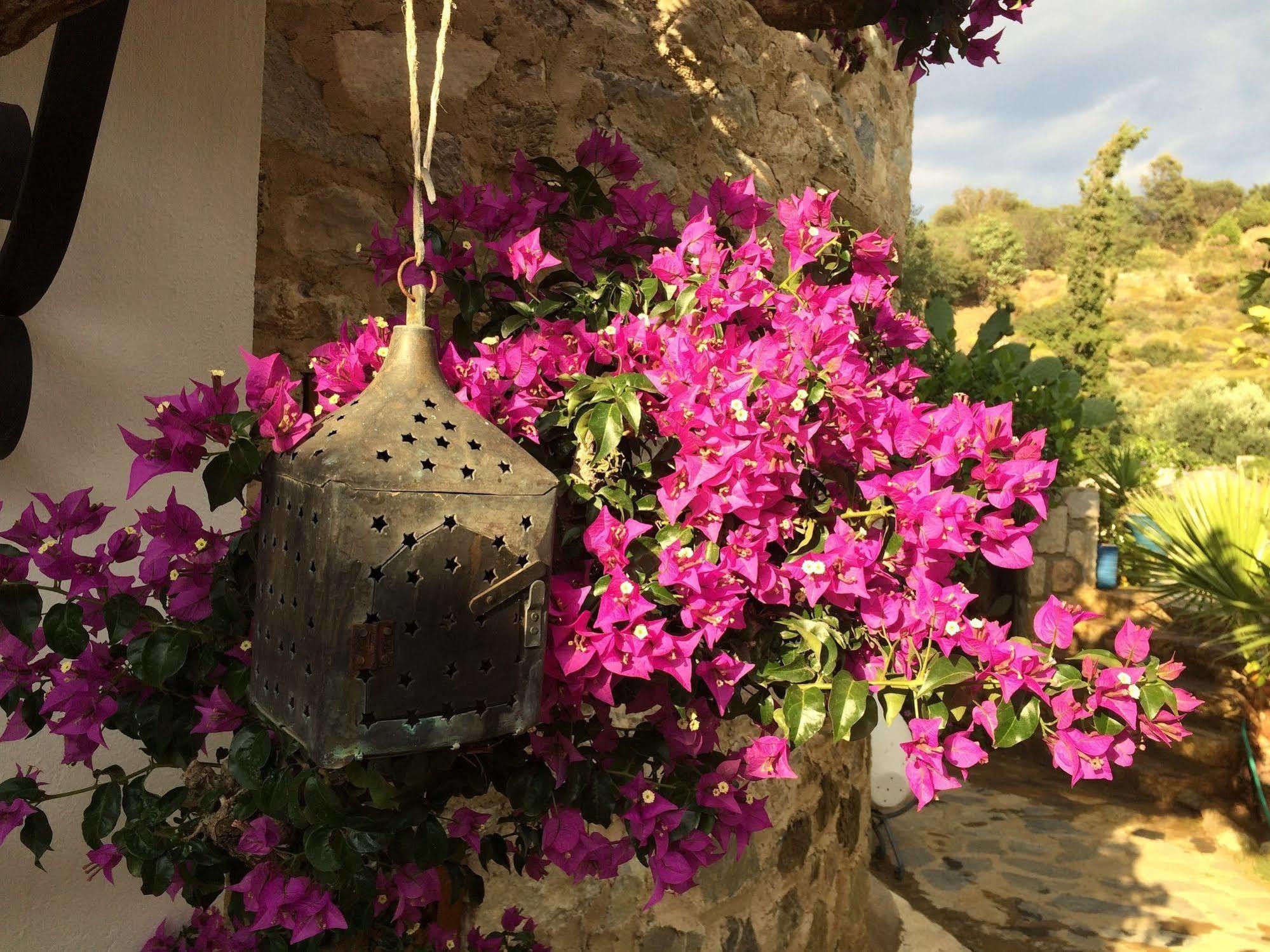 Hotel Villa Tokur Datça Esterno foto
